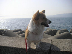 Resize of PICT1630_thumb.jpg